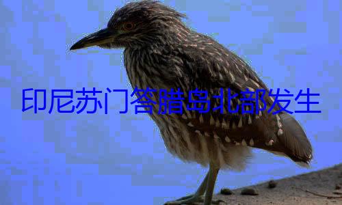 地震 震源米生57级深度10千腊岛北部发印尼苏门答